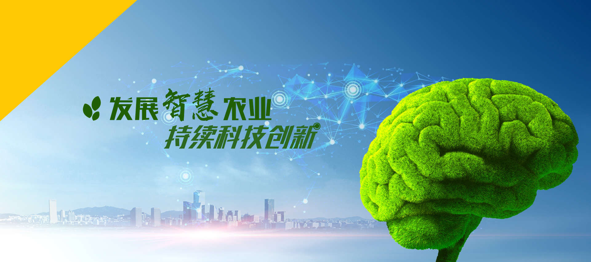 开云体育网址