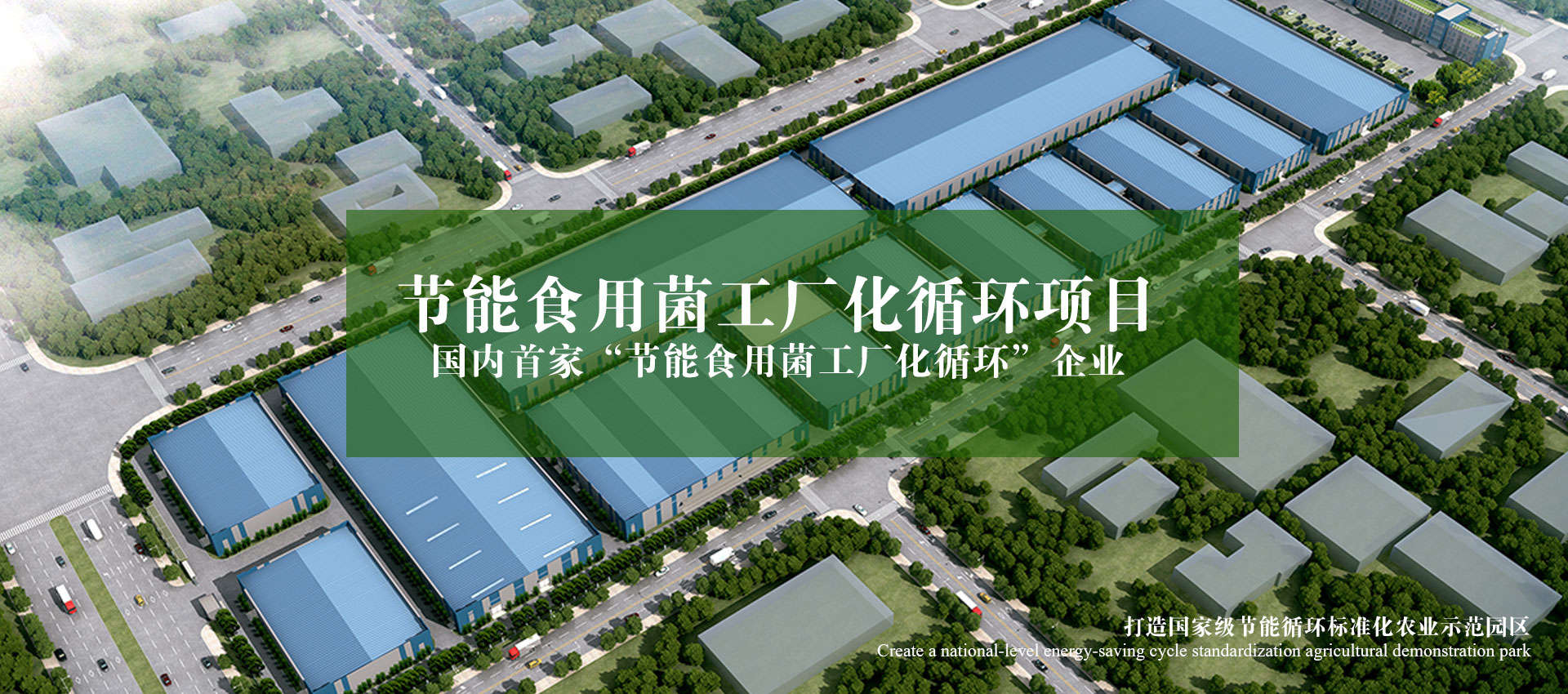 开云体育下载