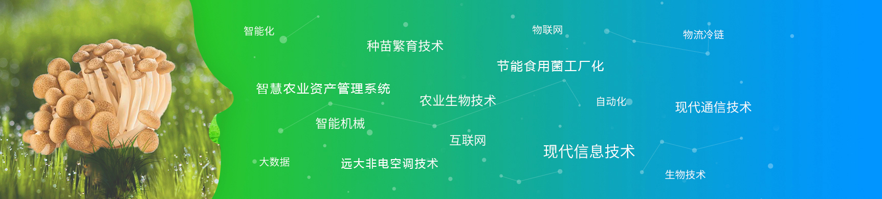 开云体育网址